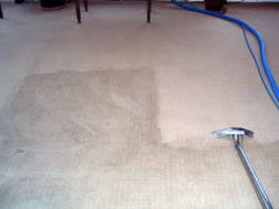 business carpet cleaners nottingham